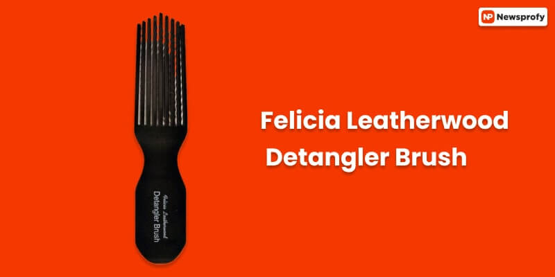 Best Hair Brush Felicia LeatherwoodDetangler Brush