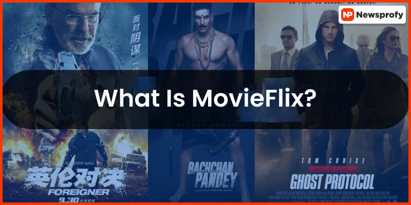 What Is MovieFlix