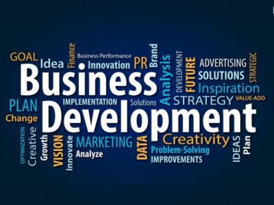 10 Role Of Business Development Services You Must Know