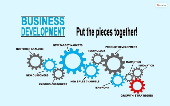 Roles Of Business Development Service
